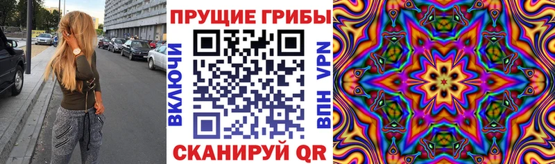 Купить где  Инза  Псилоцибиновые грибы прущие грибы 